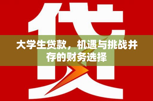 雨花台大学生贷款，机遇与挑战并存的财务选择