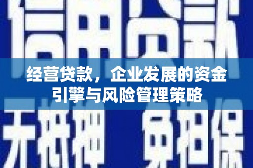 雨花台经营贷款，企业发展的资金引擎与风险管理策略