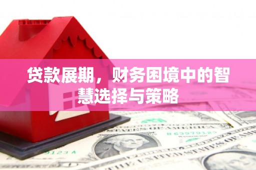 雨花台贷款展期，财务困境中的智慧选择与策略