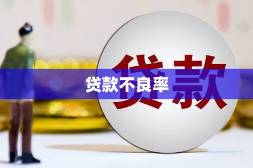 雨花台贷款不良率