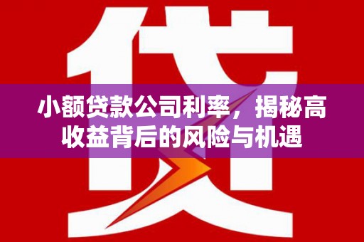 雨花台小额贷款公司利率，揭秘高收益背后的风险与机遇