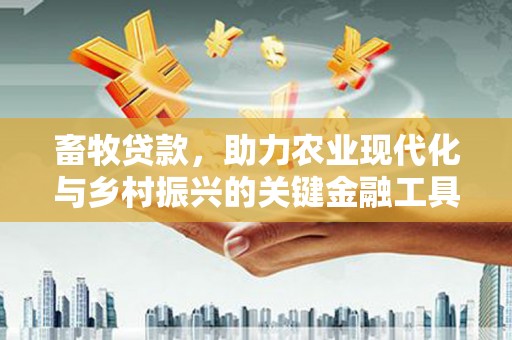 雨花台畜牧贷款，助力农业现代化与乡村振兴的关键金融工具