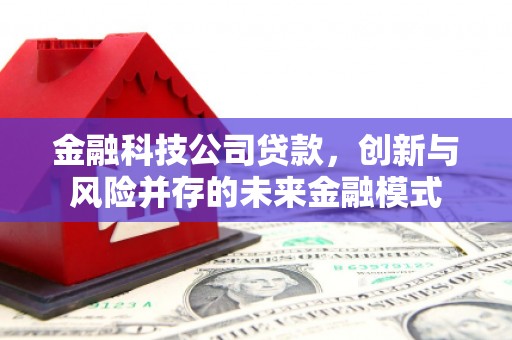 雨花台金融科技公司贷款，创新与风险并存的未来金融模式
