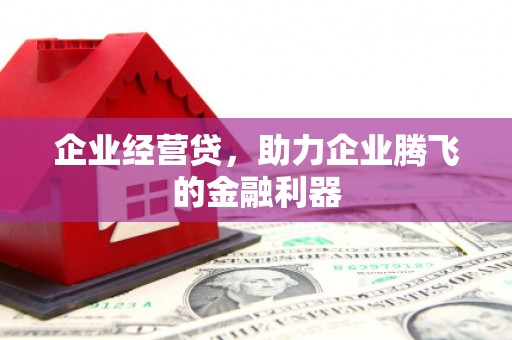 雨花台企业经营贷，助力企业腾飞的金融利器