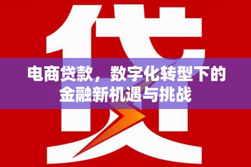 雨花台电商贷款，数字化转型下的金融新机遇与挑战