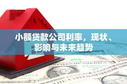 雨花台小额贷款公司利率，现状、影响与未来趋势
