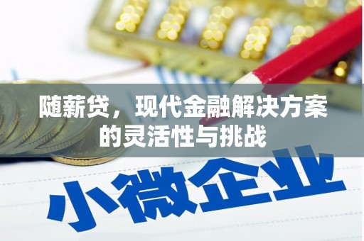 雨花台随薪贷，现代金融解决方案的灵活性与挑战