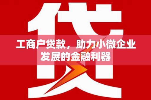 雨花台工商户贷款，助力小微企业发展的金融利器