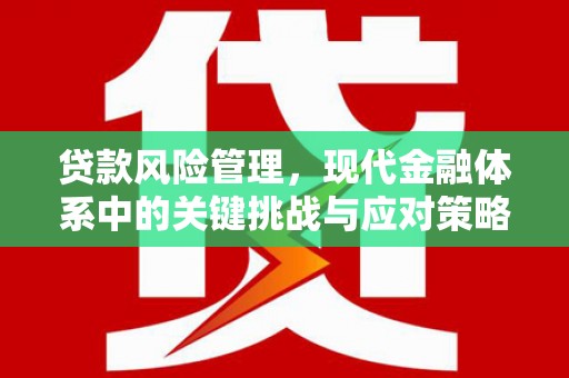 雨花台贷款风险管理，现代金融体系中的关键挑战与应对策略