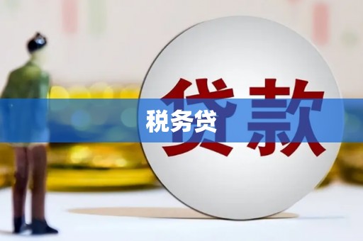 雨花台税务贷