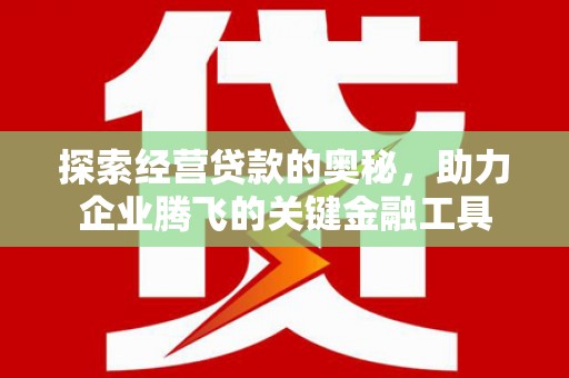 雨花台探索经营贷款的奥秘，助力企业腾飞的关键金融工具
