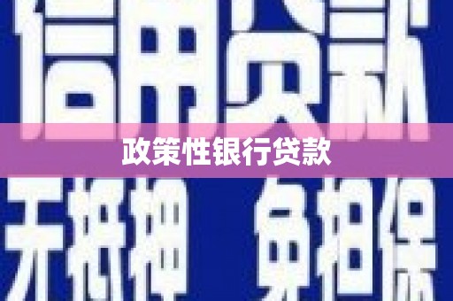 雨花台政策性银行贷款