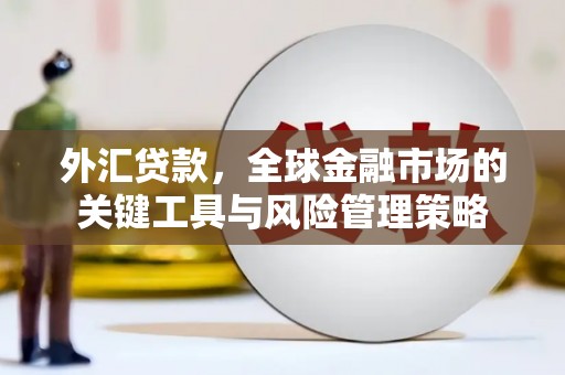 雨花台外汇贷款，全球金融市场的关键工具与风险管理策略