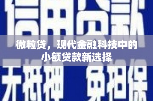 雨花台微粒贷，现代金融科技中的小额贷款新选择