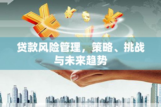 雨花台贷款风险管理，策略、挑战与未来趋势