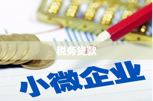 雨花台税务贷款