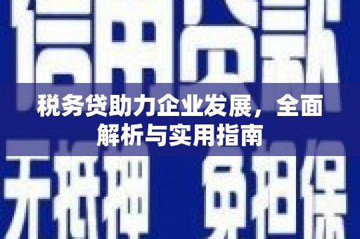 雨花台税务贷助力企业发展，全面解析与实用指南