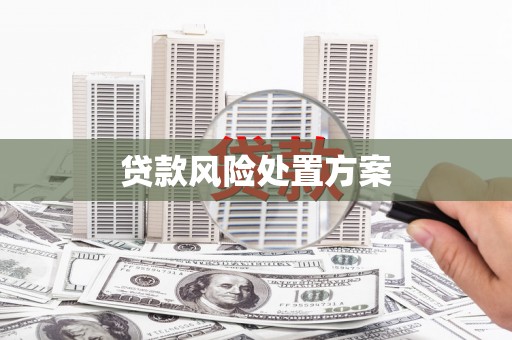 雨花台贷款风险处置方案