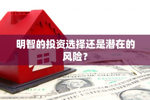雨花台明智的投资选择还是潜在的风险？