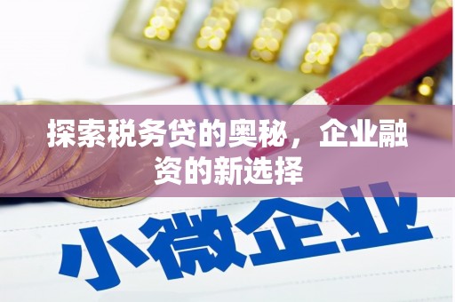 雨花台探索税务贷的奥秘，企业融资的新选择