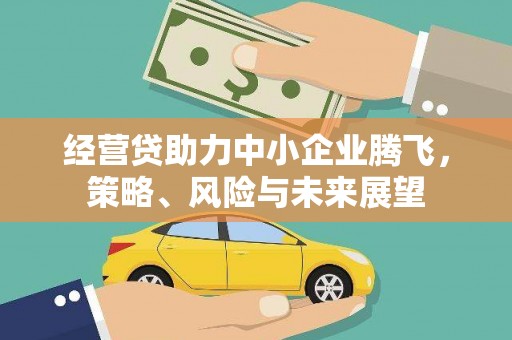 雨花台经营贷助力中小企业腾飞，策略、风险与未来展望