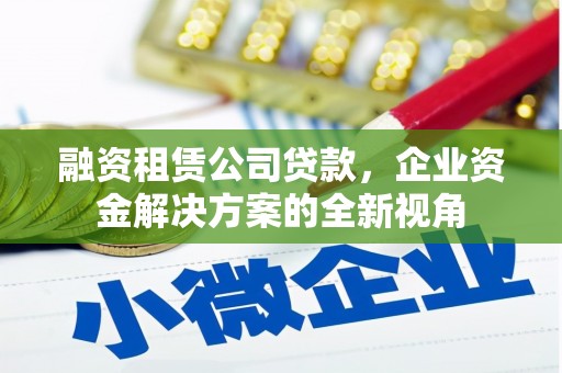 雨花台融资租赁公司贷款，企业资金解决方案的全新视角