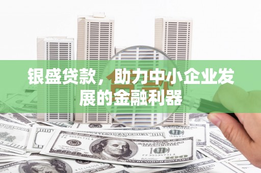 雨花台银盛贷款，助力中小企业发展的金融利器