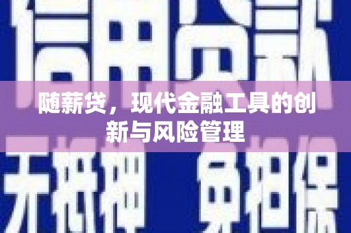 雨花台随薪贷，现代金融工具的创新与风险管理