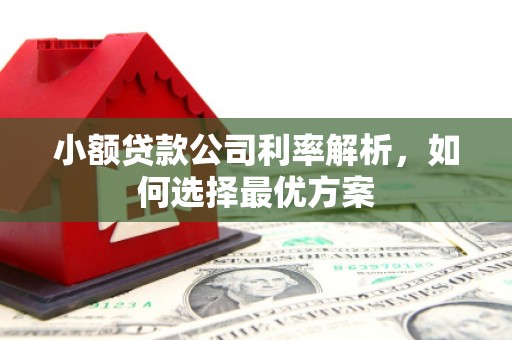 雨花台小额贷款公司利率解析，如何选择最优方案