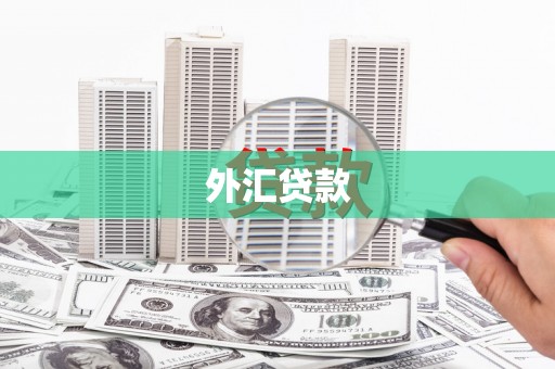 雨花台外汇贷款