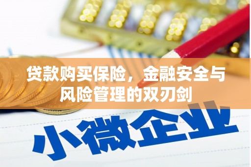 雨花台贷款购买保险，金融安全与风险管理的双刃剑