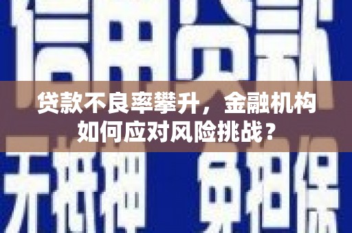 雨花台贷款不良率攀升，金融机构如何应对风险挑战？
