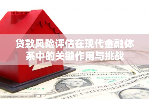 雨花台贷款风险评估在现代金融体系中的关键作用与挑战