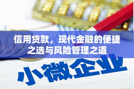 雨花台信用贷款，现代金融的便捷之选与风险管理之道