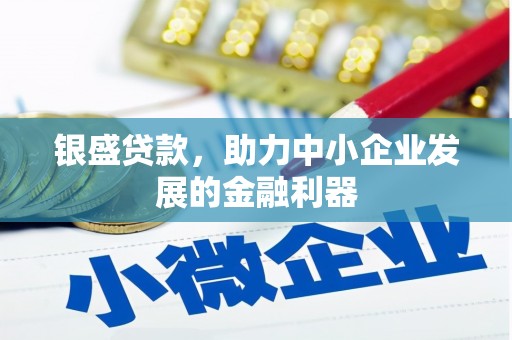 雨花台银盛贷款，助力中小企业发展的金融利器