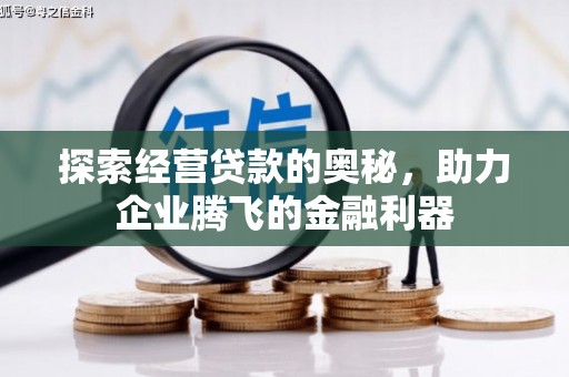 雨花台探索经营贷款的奥秘，助力企业腾飞的金融利器