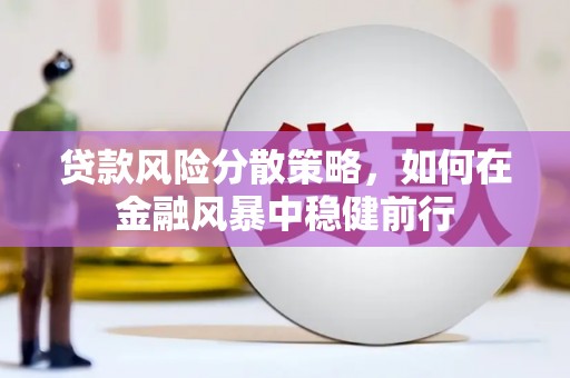 雨花台贷款风险分散策略，如何在金融风暴中稳健前行