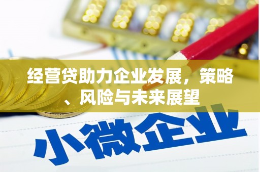 雨花台经营贷助力企业发展，策略、风险与未来展望