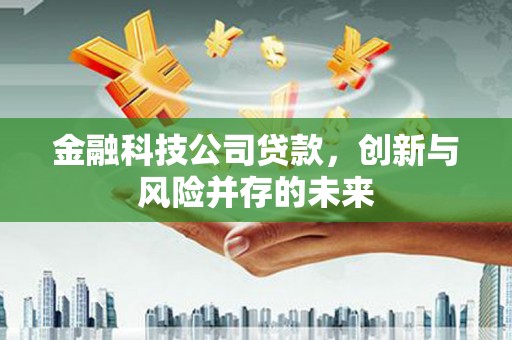 雨花台金融科技公司贷款，创新与风险并存的未来