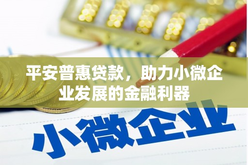 雨花台平安普惠贷款，助力小微企业发展的金融利器