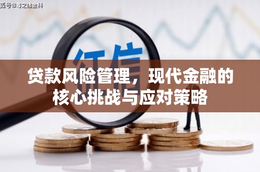 雨花台贷款风险管理，现代金融的核心挑战与应对策略