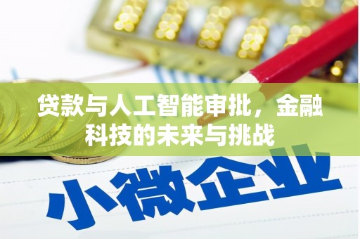 雨花台贷款与人工智能审批，金融科技的未来与挑战