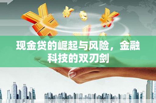 雨花台现金贷的崛起与风险，金融科技的双刃剑