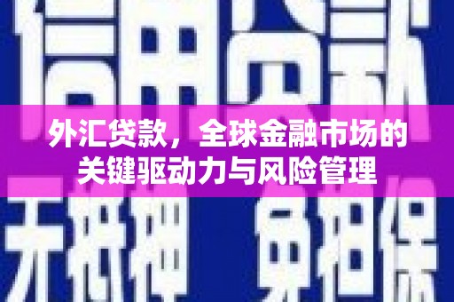 雨花台外汇贷款，全球金融市场的关键驱动力与风险管理