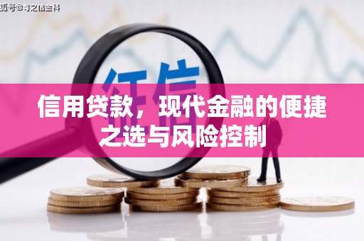 雨花台信用贷款，现代金融的便捷之选与风险控制