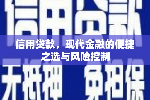 雨花台信用贷款，现代金融的便捷之选与风险控制