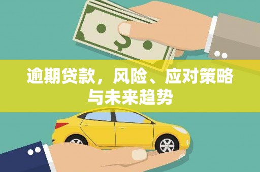 雨花台逾期贷款，风险、应对策略与未来趋势
