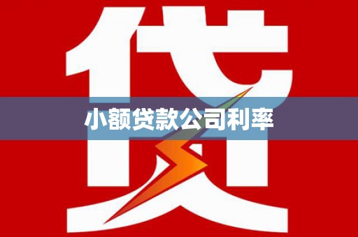 雨花台小额贷款公司利率