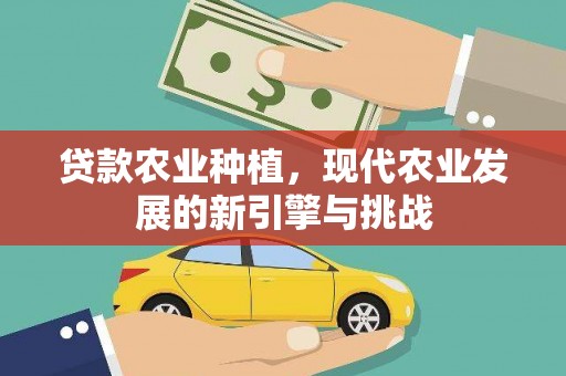 雨花台贷款农业种植，现代农业发展的新引擎与挑战