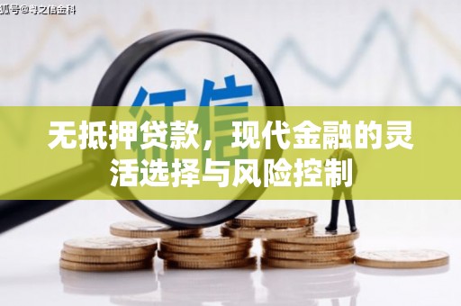 雨花台无抵押贷款，现代金融的灵活选择与风险控制